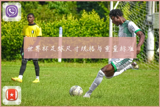 世界杯足球尺寸规格与重量标准