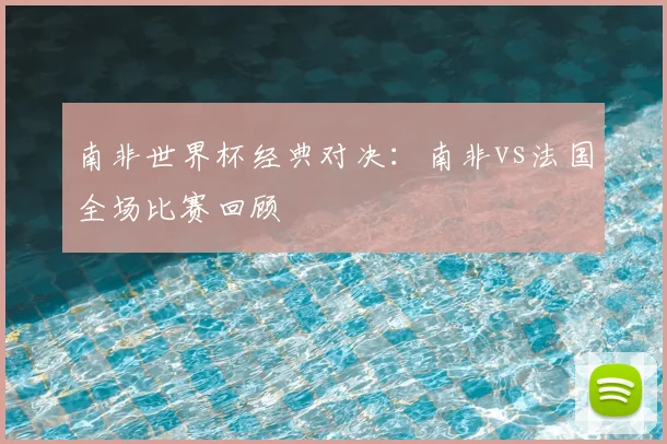 南非世界杯经典对决：南非vs法国全场比赛回顾