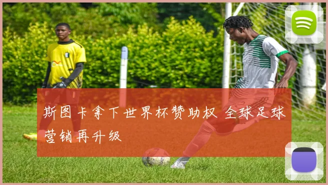 斯图卡拿下世界杯赞助权 全球足球营销再升级