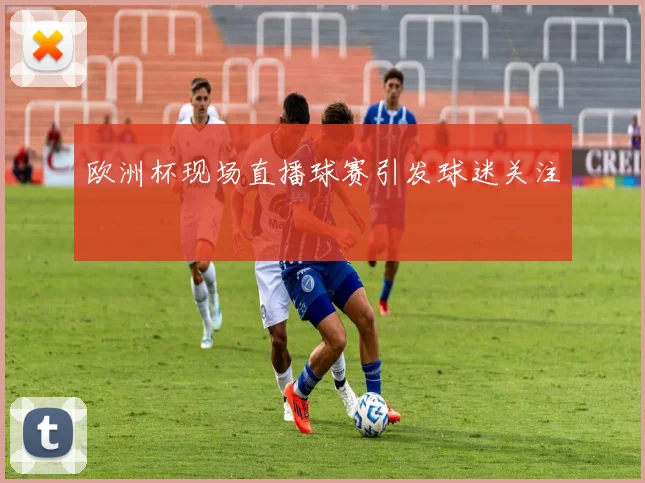 欧洲杯现场直播球赛引发球迷关注