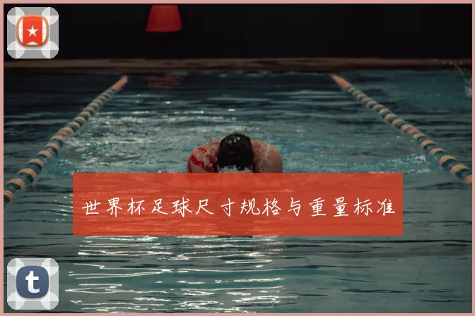 世界杯足球尺寸规格与重量标准