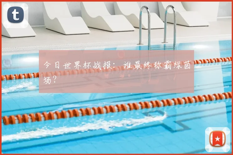 今日世界杯战报：谁最终称霸绿茵场？