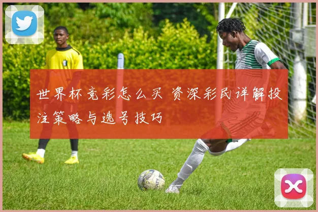 世界杯竞彩怎么买 资深彩民详解投注策略与选号技巧