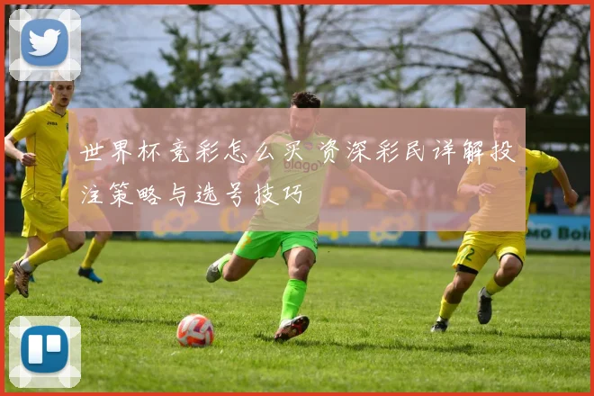 世界杯竞彩怎么买 资深彩民详解投注策略与选号技巧