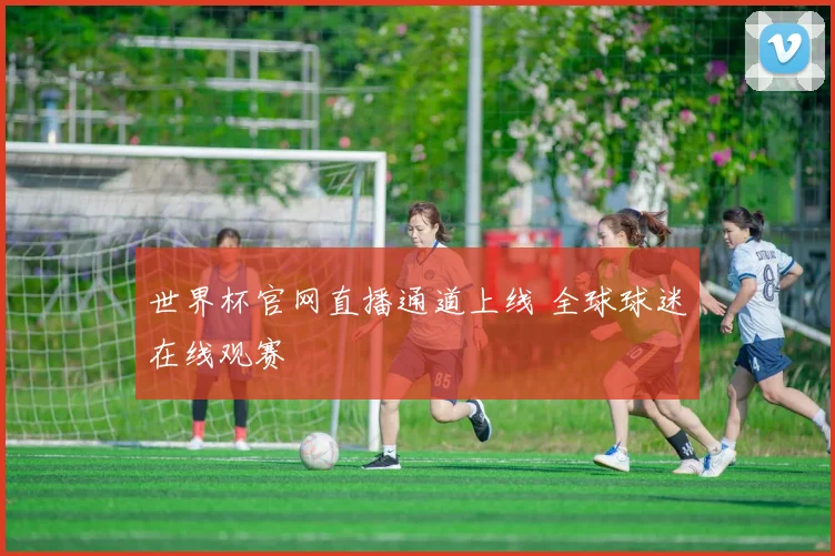 世界杯官网直播通道上线 全球球迷在线观赛