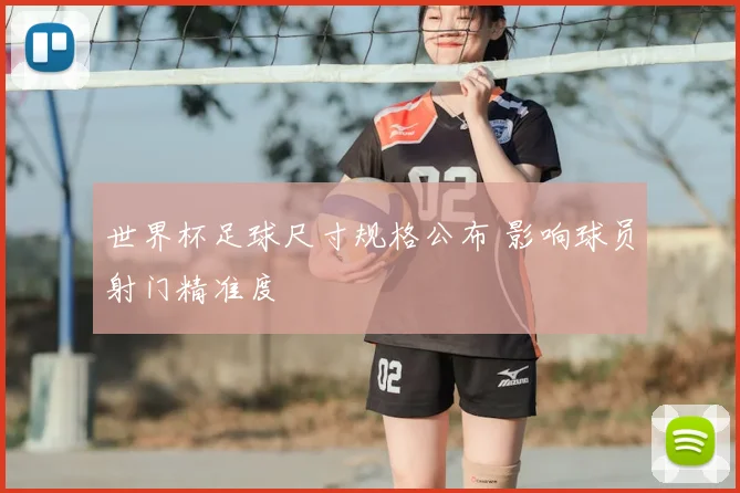世界杯足球尺寸规格公布 影响球员射门精准度