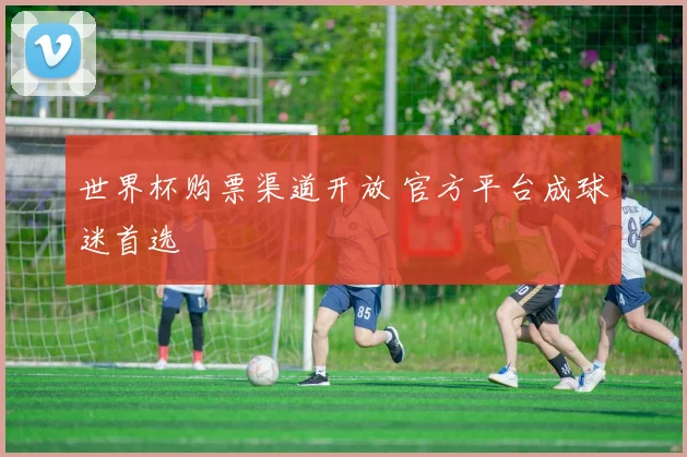 世界杯购票渠道开放 官方平台成球迷首选