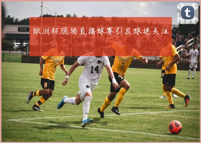 欧洲杯现场直播球赛引发球迷关注