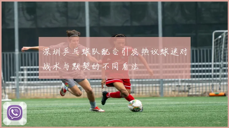 深圳乒乓球队配合引发热议球迷对战术与默契的不同看法