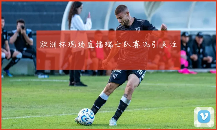 欧洲杯现场直播瑞士队赛况引关注