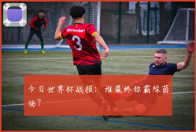 今日世界杯战报：谁最终称霸绿茵场？