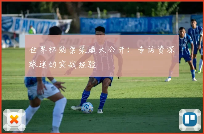 世界杯购票渠道大公开：专访资深球迷的实战经验